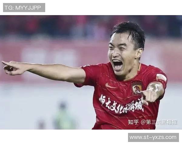 中国足球明星的年龄分布与职业生涯的影响分析